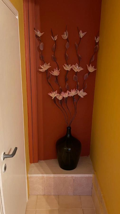 Casa Di Spili - Corfu Old Town Apartment Eksteriør bilde